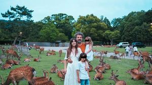 Dana Rogoz, totul despre vacanța în Japonia