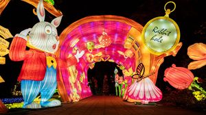 Expoziție iluminată la Grădina Botanică din București