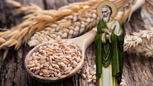 Grâu pentru plantat, de Sfântul Andrei