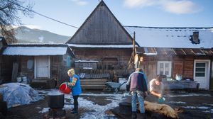 sacrificarea porcului