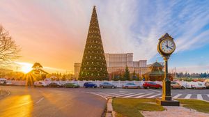 Bradul de Crăciun din București bradul de craciun din bucuresti