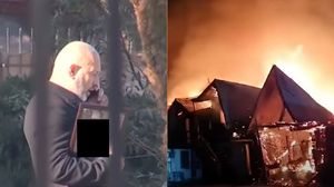 Patron Ferma Dacilor