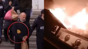 cornel dinicu patron ferma dacilor