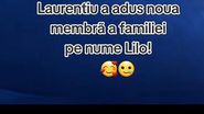 Lorena și Laurențiu Casa Iubirii pisică