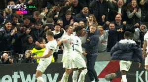 radu dragusin tottenham