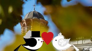 Biserică, animație păsări