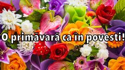 Felicitări de 1 Martie 2024 - Mărțișor. Cele mai frumoase urări pentru prima zi de primăvară: „Fie ca florile de primăvară să îți aducă fericire, sănătate și noroc, iar soarele să îți lumineze calea și sufletul!”