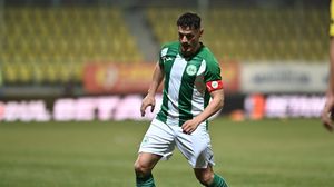 gabi torje concordia