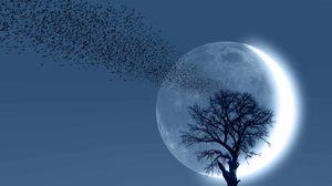 luna noua ilustratie, luna noua in martie 