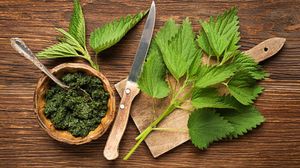 urzici, consumul de urzici beneficii, de ce e bine să consumi urzici primăvara 