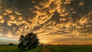 mammatus, nori uriași, fenomene naturale, 10 fenomene naturale uimitoare 
