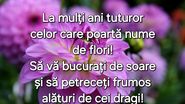 Urări de Florii