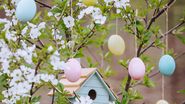Pom înflorit, decorațiuni de Paște