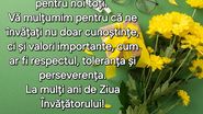 Felicitare de Ziua Învățătorului