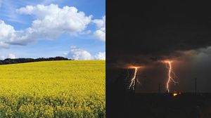 cod galben furtini grindina