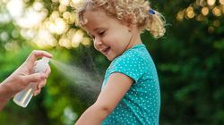 9 remedii naturale împotriva țânțarilor. Ce ingrediente banale reușesc să țină la distanță aceste insecte