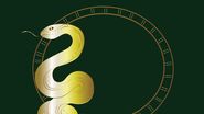 sarpe din zodiacul chinezesc