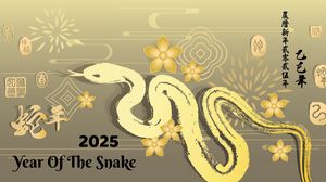 sarpe, ilustratie, zodiac chinezesc