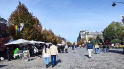 Cine se bucură de o zi liberă pe 14 octombrie 2024? Decizie de ultim moment!