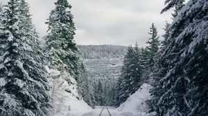 Imagine cu caracter ilustrativ