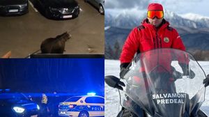 Salvamontistul atacat de urs în Predeal