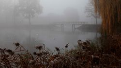 Meteorologii au actualizat prognoza meteo! Vreme contrastantă în România la jumătatea lunii noiembrie