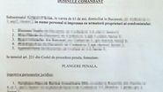 Asa arata plangerea penala formulata de vecinii Andreei
