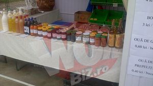 Asa arata "buticul" de la intrarea in Manastirea Cernica