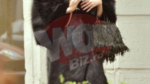 Iulia Albu i-a luat soparlei sale, Lady Godiva, ham batut in cristale