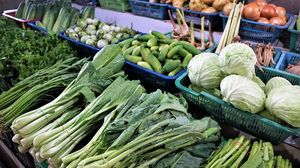 Dieta de iarnă. Cum să slăbești sănătos în sezonul rece