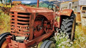 Mesajul disperat al muncitorilor romani aflati la cules de sparanghel in Germania: "Ne este frica! Vrem sa mergem acasa, nu vrem sa murim aici pe capete"