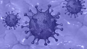 coronavirus