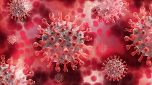 Coronavirus. Alte 187 de cazuri de infectare! Bilanţul în România a ajuns la  20.290