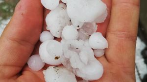 VIDEO. Grindina de dimensiuni uriașe a făcut prăpăd în județul Bacău