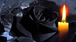 Un mare star pe TikTok s-a sinucis. Avea doar 16 ani