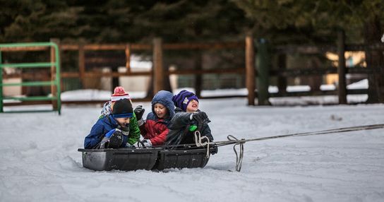 cat dureaza vacanta de iarna 2022