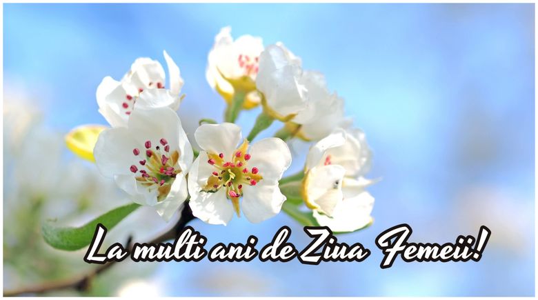 mesaje felicitari 8 martie 2023