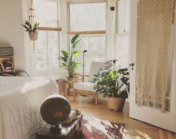 Motivul pentru care nu ar trebui să dormi cu plante &icirc;n cameră. Ce se &icirc;nt&acirc;mplă noaptea cu ele? Procesul de numește oxidare