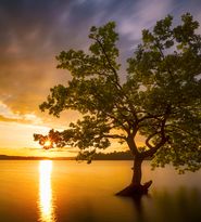 Prognoza meteo pentru prima jumătate a lunii octombrie 2023: Vom avea temperaturi ridicate