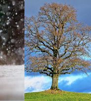 Prognoza meteo ANM pentru ziua de joi, 19 octombrie 2023, în țară: Vremea se va încălzi simțitor și va mai ploua în partea de nord și vest a țării