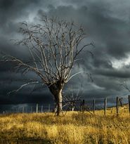 Prognoza meteo ANM pentru ziua de sâmbătă, 11 noiembrie 2023, în țară: Zonele unde va ploua pe tot parcursul zilei