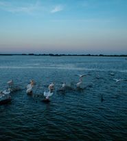 Sâmbătă, de la ora 14:45, în ”ROventura”, O călătorie fascinantă la Crișan, în minunata Delta Dunării