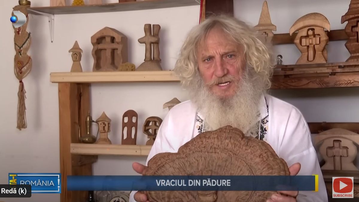 El este vraciul din pdure, Nicolae Onu, o enciclopedie despre plante!  Cum reuete s recunoasc plantele medicinale i s ofere remedii  naturiste pentru orice afeciune - Kanal D Romania