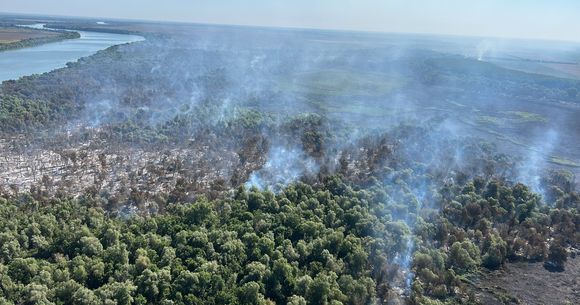Incendiu de proporții în Delta Dunării