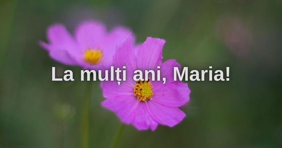 Mesaje și urări