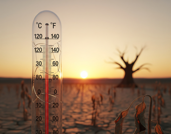 Impactul Valurile de căldură: Înțelegerea riscurilor asociate