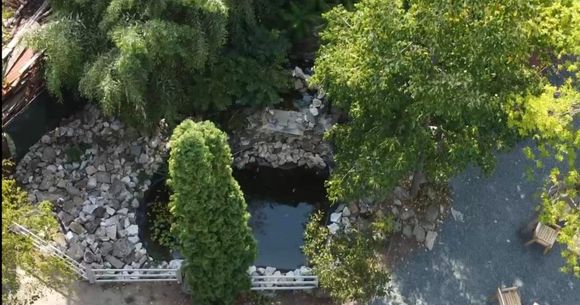 Iaz ornamental grădiniță Timișoara