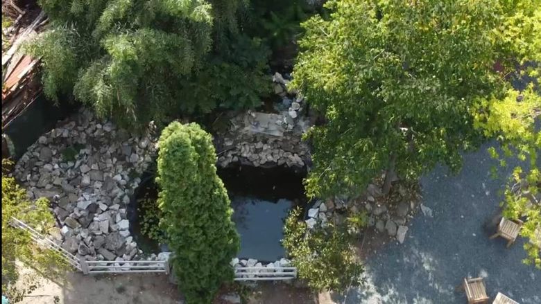 Iaz ornamental grădiniță Timișoara