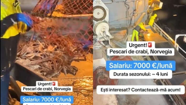 Anunț angajare pescari crabi