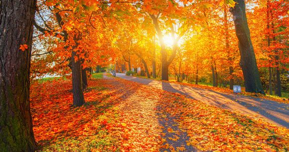 Meteorologii ANM au emis prognoza meteo pentru perioada 8 septembrie – 10 octombrie 2025  prognoza meteo